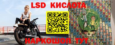 спиды Гатчина