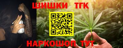 спиды Гатчина