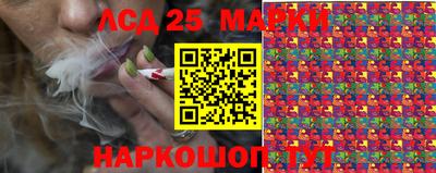 спиды Гатчина