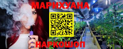 спиды Гатчина