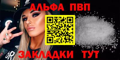 спиды Гатчина