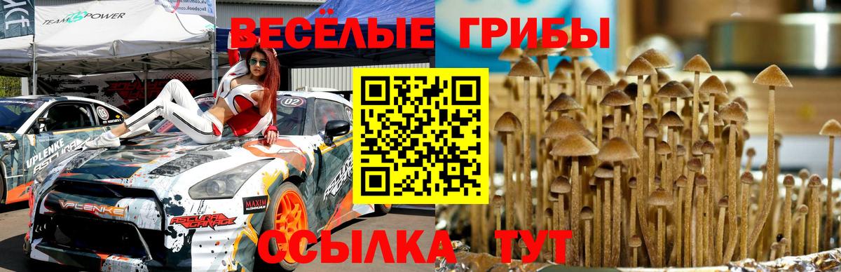 Галлюциногенные грибы ЛСД Нефтекумск