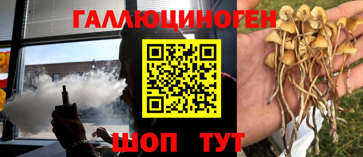 Нефтекумск  Галлюциногенные грибы мицелий  что такое   Псилоцибиновые грибы MAGIC MUSHROOMS  Вход с VPN 
